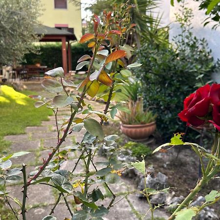 La Casa Di Gemma B&B Villa Vomano Экстерьер фото